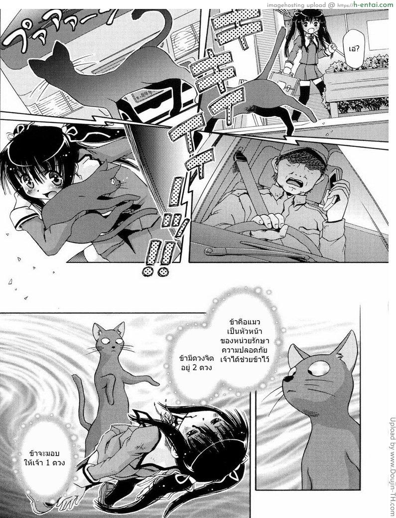 โดจิน เมื่อน้องสาวกลายเป็นแมว Cat a Nyanderful World แปลไทย 2