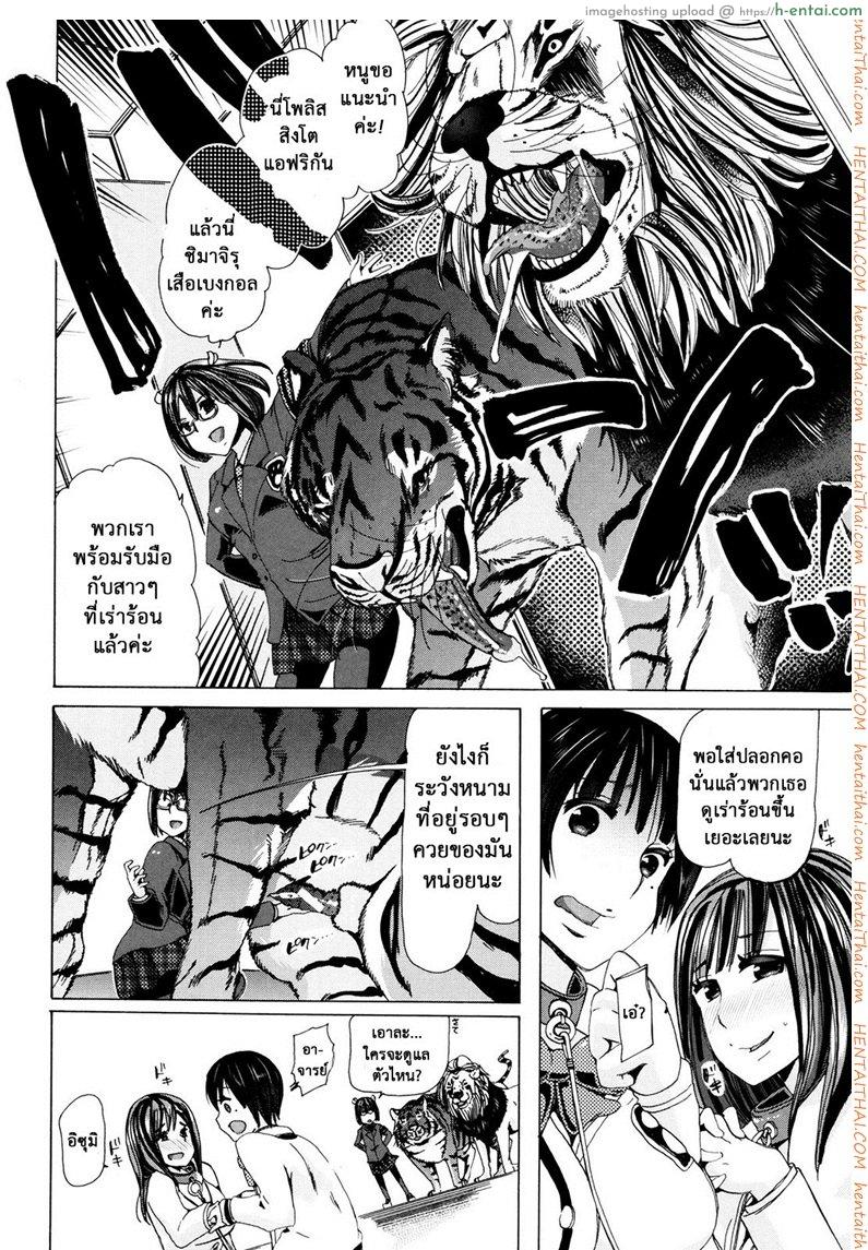 โดจิน ผู้ดูแลคลาสติดสัด 6 - เสือ สิง กระทิง [Chikiko] Juukan Kyoushitsu - Bestiality Class ch.6 แปลไทย 6