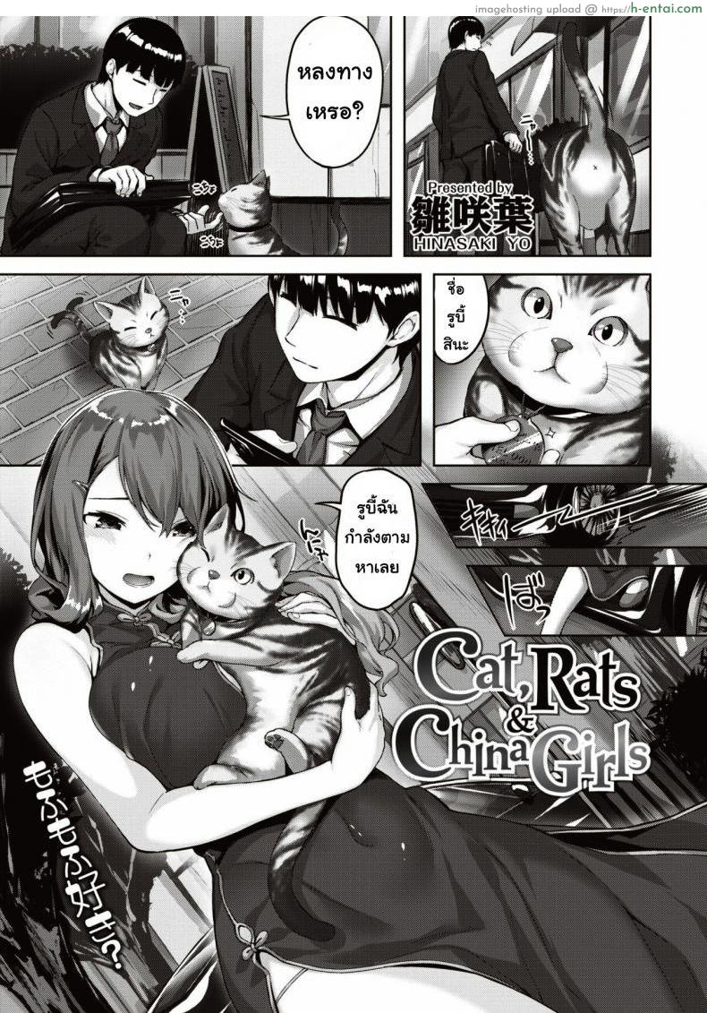โดจิน เจอแมวหลงทาง [Hinasaki yo] Cat, Rats&China Girls แปลไทย 1
