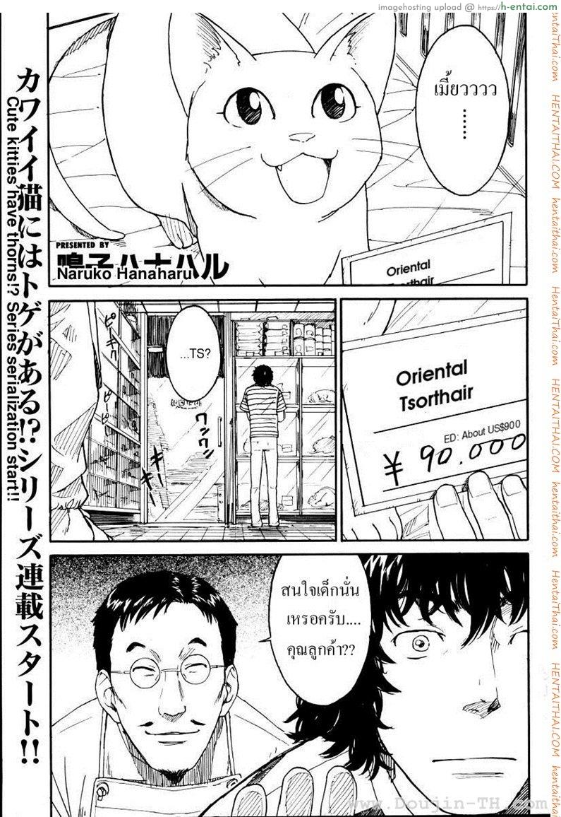 โดจิน เนเนะ นางแมวสาว 1 [Naruko Hanaharu] Nene Ch.1 แปลไทย 5