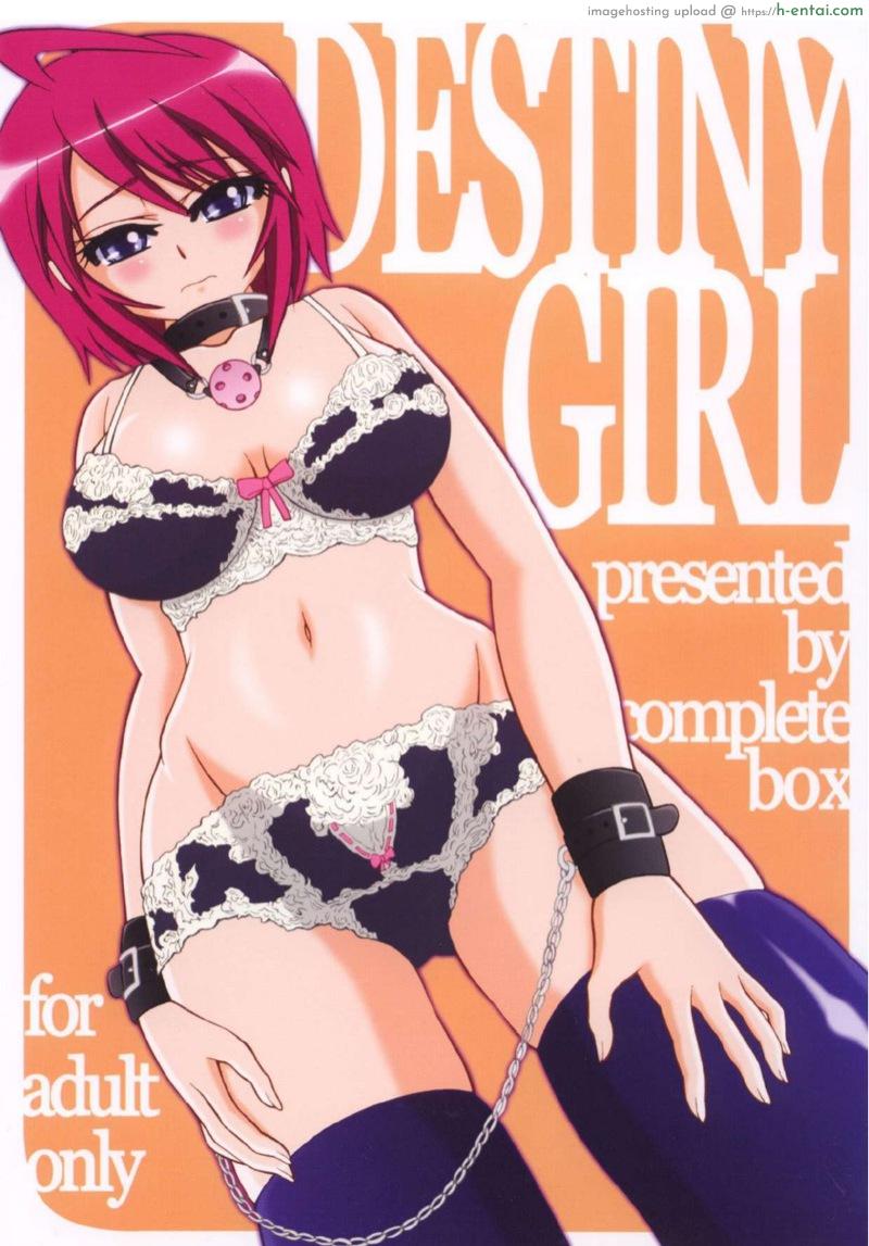 โดจิน สู้เขาลูน่า [Complete Box (Ayakawa Hisashi) DESTINY GIRL (Gundam SEED DESTINY) แปลไทย 3